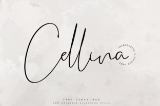 Cellina: A Bold Script Font for Digital Design