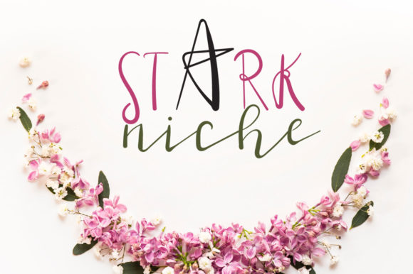 Stark Niche Font: A Playful Typeface for Bold Campaigns